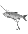 BlackCat Baitclips