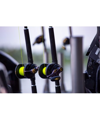 BlackCat Ø 038mm Zeus Line G2 L: 250m 37kg / 81lbs yellow