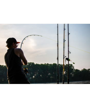 BlackCat Ø 038mm Zeus Line G2 L: 250m 37kg / 81lbs yellow