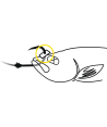 BlackCat Baitfish Stopper L: 15m black