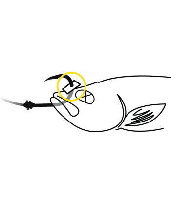 BlackCat Baitfish Stopper L: 15m black
