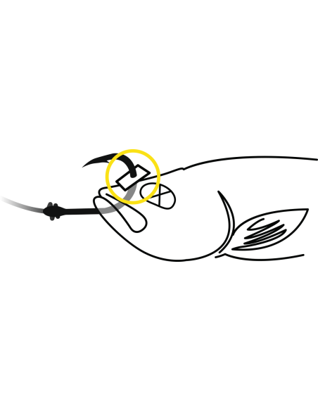 BlackCat Baitfish Stopper L: 15m black