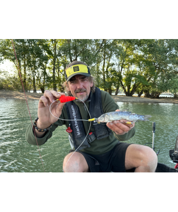 BlackCat NO6/0 Baitfish Tree Rig L: 200m 2 Mainline Ø: 120mm