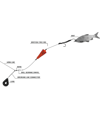BlackCat NO6/0 Baitfish Tree Rig L: 200m 2 Mainline Ø: 120mm