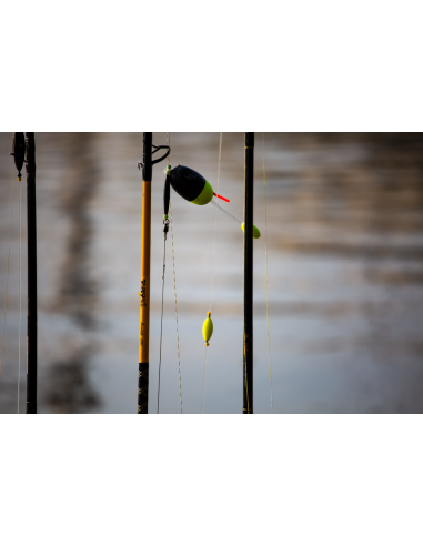 BlackCat 250g Catfish float