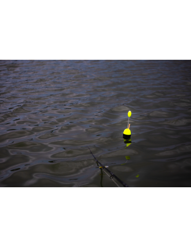 BlackCat 150g Catfish float