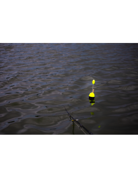 BlackCat 100g Catfish float