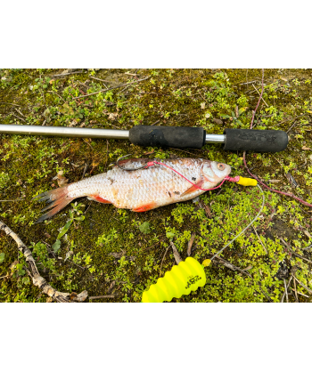 BlackCat Dead Bait Puncher L: 40cm