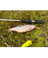 BlackCat Dead Bait Puncher L: 40cm