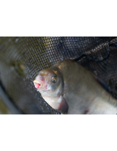 Preston Floater Disgorger Baiting Needle