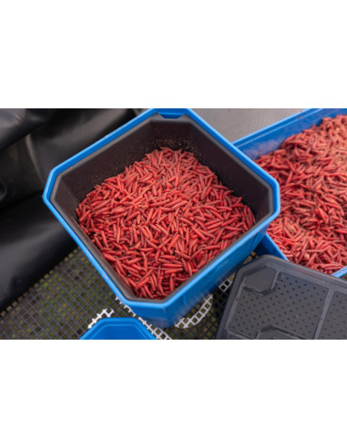 Preston 4Pt Bait Tub