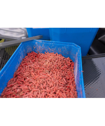 Preston 6Pt Bait Tub