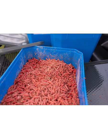 Preston 6Pt Bait Tub