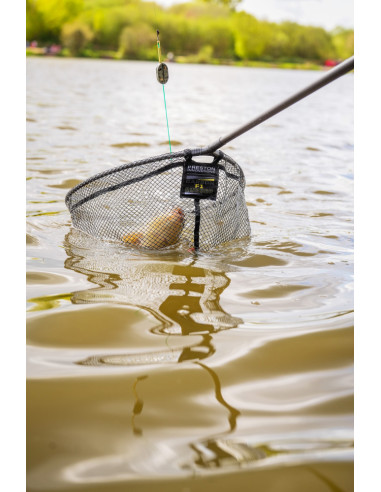 Preston Carbon F1 Latex Landing Net 16