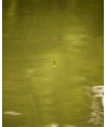 Preston Breeze Pole Float 0.40g