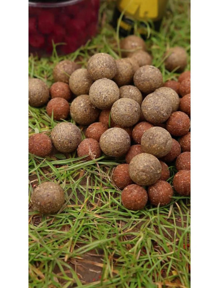 Nikl Economic Feed Boilie Rape Cloud 5kg