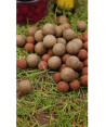 Nikl Economic Feed Boilie Rape Cloud 5kg