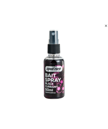 Squat Carp Bait spray BlackCurrant