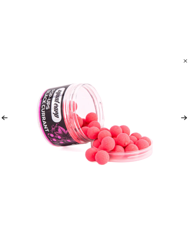 Squat Carp Pop-Up BlackCurrant 16 mm