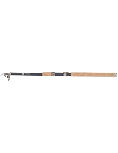 Progress Tele 210-25 | 2,10m 10-25g