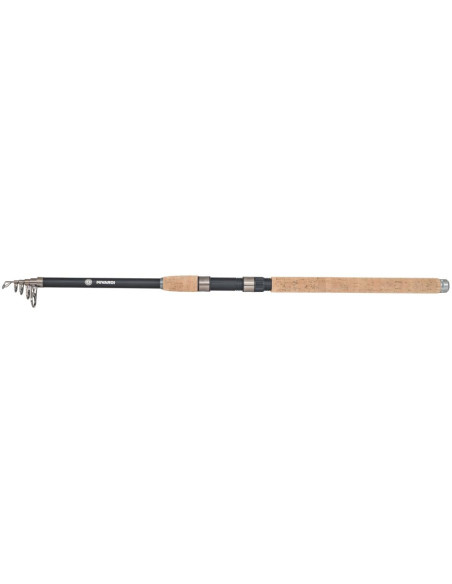Progress Tele 210-25 | 2,10m 10-25g