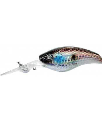Slattern 6,5cm F Anchor
