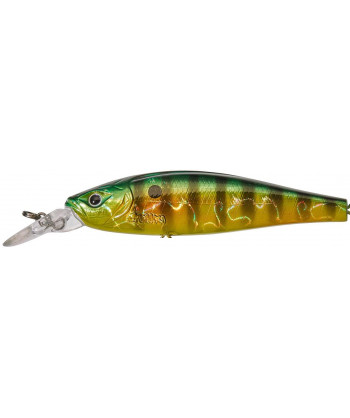 Gamera 9,0m F Fire Gold Perch