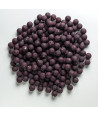 Rapid Boilies Excellent - Královská švestka (950g | 24mm)