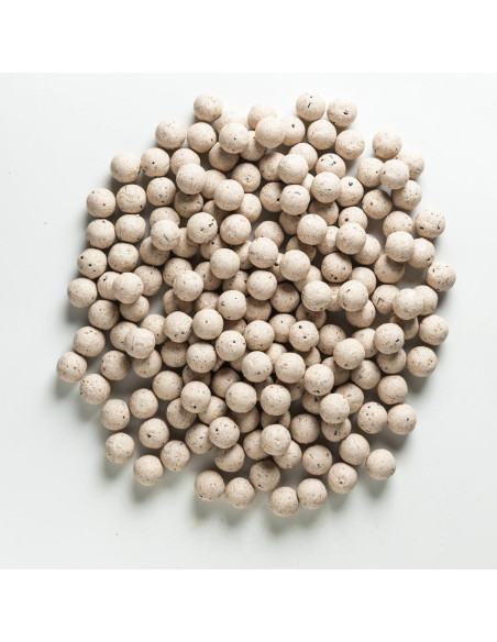 Rapid Boilies Easy Catch - Scopex + Smetana (950g | 24mm)
