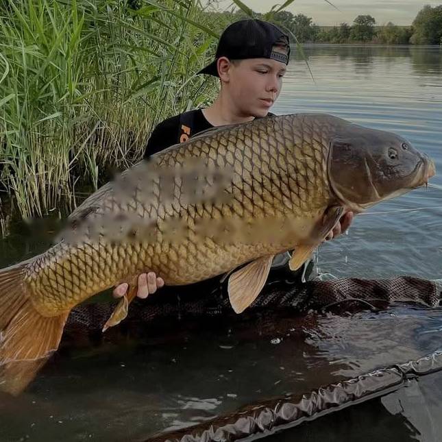 Mladý rybář klečí u vody a drží velkého kapra šupináče